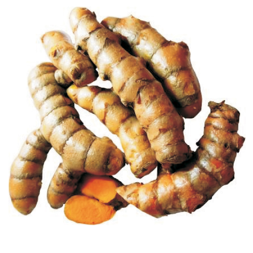 Turmeric Fresh 25 Kg Bag from YLO GLOBAL