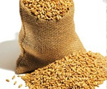 ORGANIC ORGANIC WHEAT
