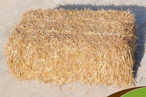 Wheat Straw Cattle Feed from Master dairy equipments