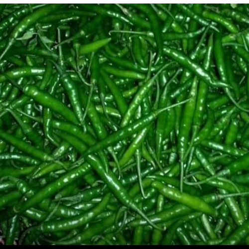 Supply Green Chilli Directly From Farmers from Sd jeelani traiders 