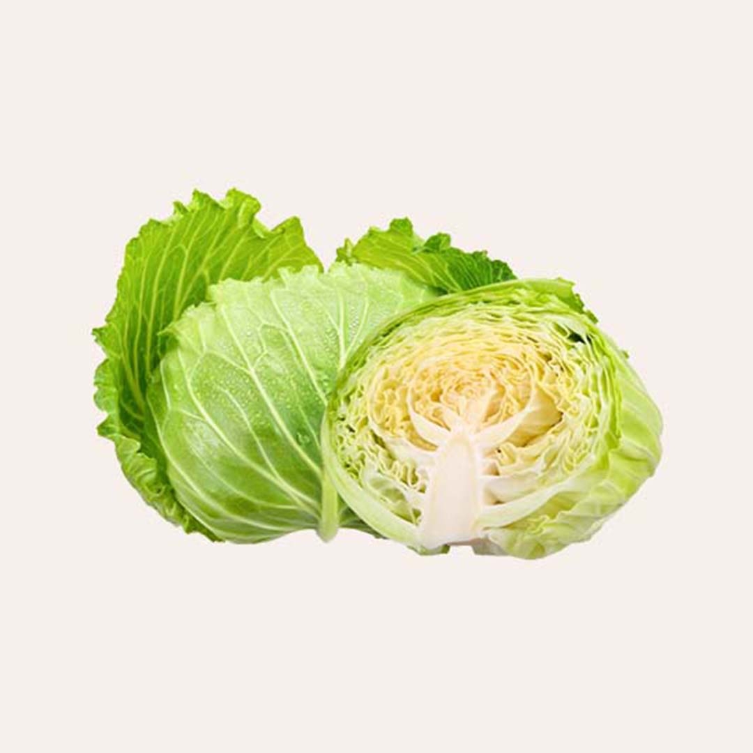 Cabbage from Udaan Impex
