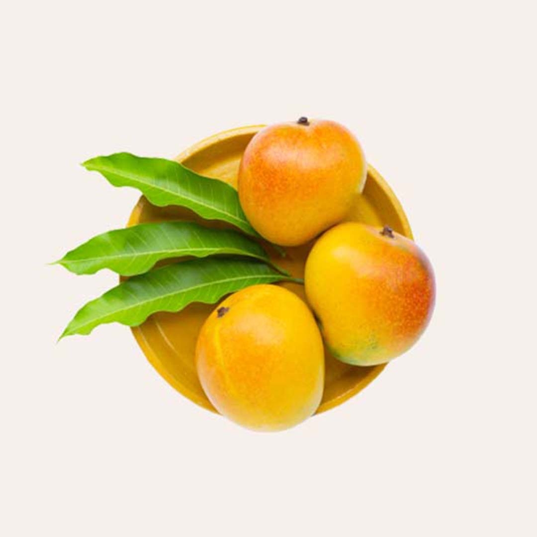 MANGO from Udaan Impex