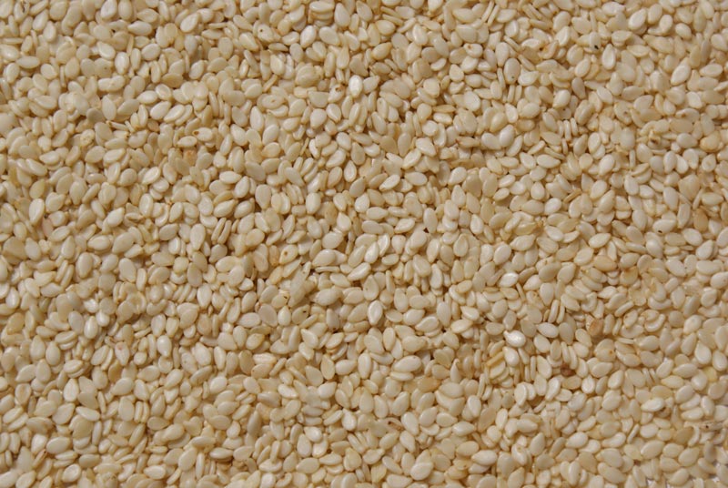 Sesame seed from Fade-Kay Ventures