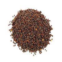 Mustard Seed from Sel's Craft and Creations 