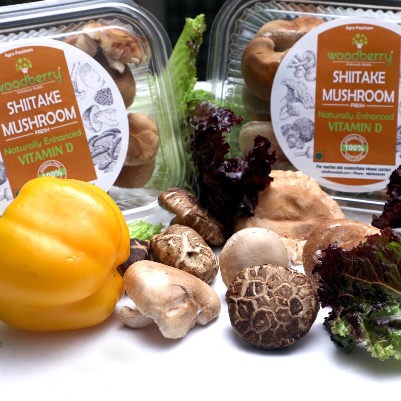 Shiitake Fresh - 100% Chemical Free Mushrooms from Woodberry Mushrooms