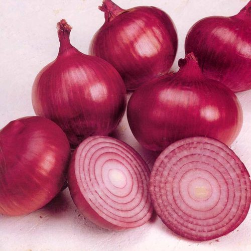 Fresh Red Onion from Delwai International Pvt Ltd