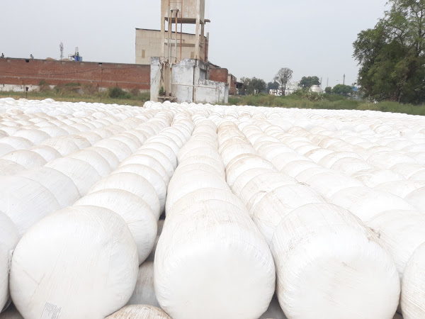 Natural Organic Cattle Feed from KPK TRADERS