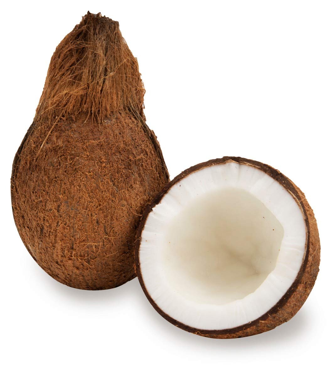 Big size More Water Husk Coconut for Summer from Millennium Grains Imports & Exports
