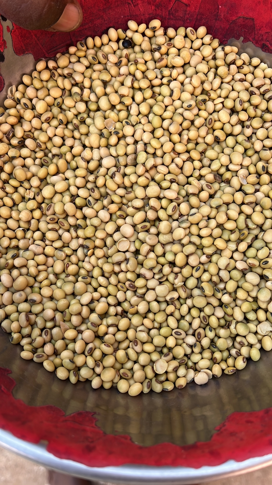 Coriander seed  from Kishaan International India