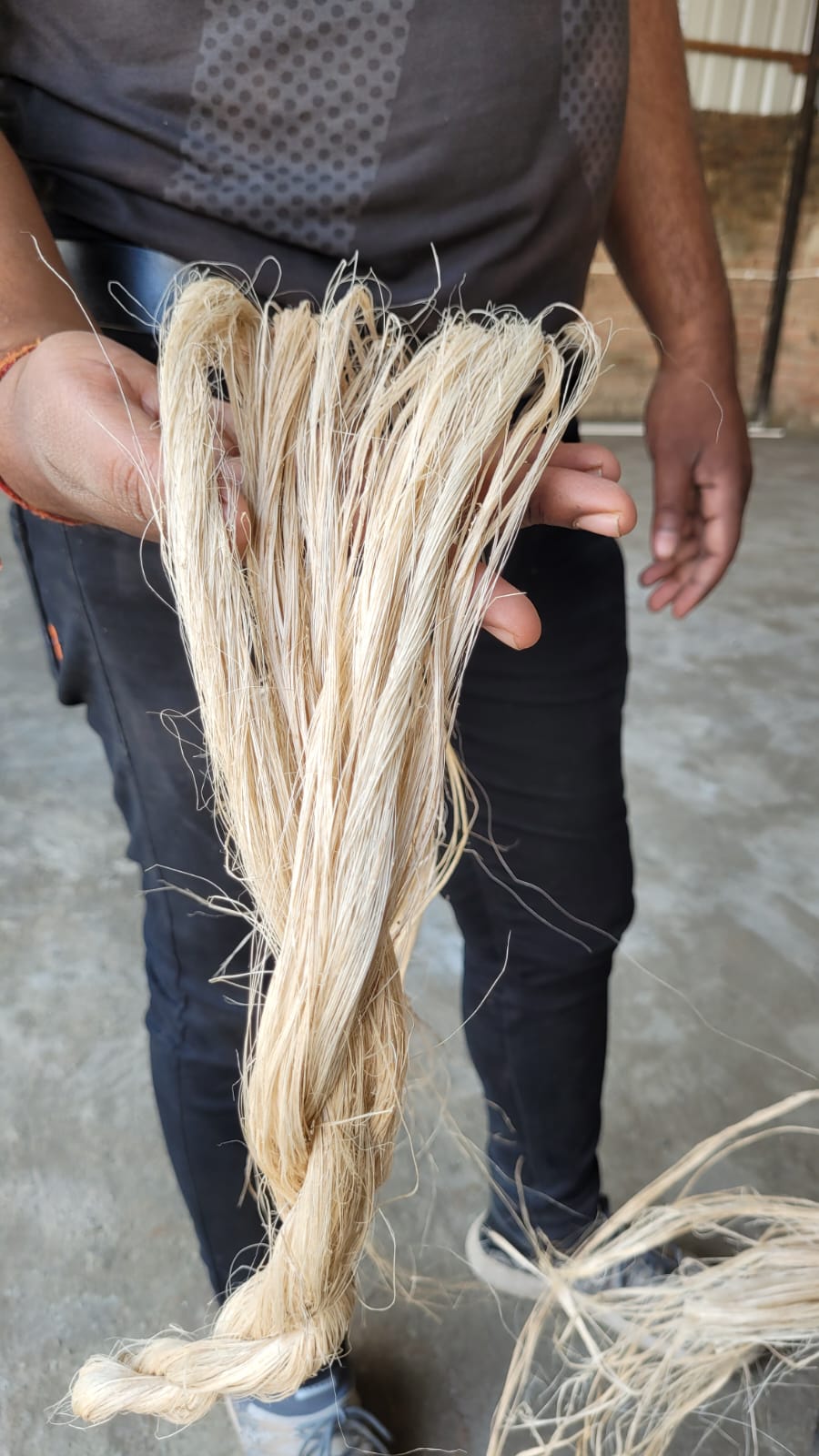 Banana Fibre (Regular with Combing) from TARUWAR AGRO INDUSTRIES PRIVATE LIMITED 