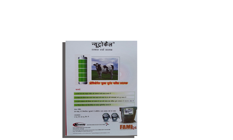 Nutrocal A Power Pack Transition Formula from AB Enterprises