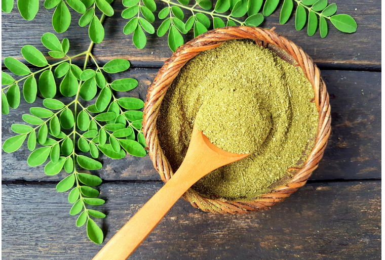 Moringa Oleifera