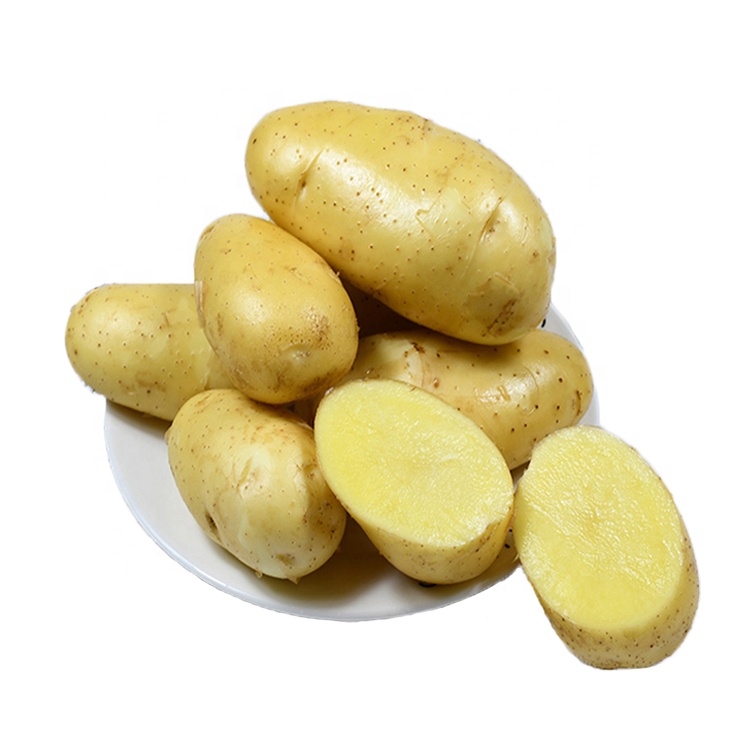 Best Quality A Grade Potato For Wholesale from Rameshwaram G Export Import  Pvt Ltd