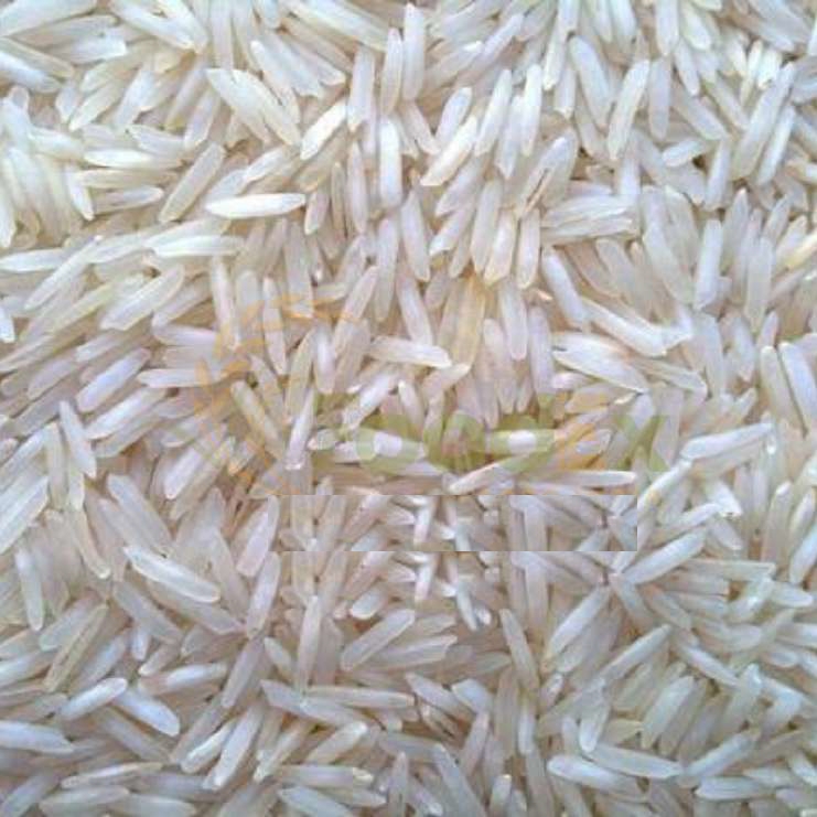 Sugandha Steam Basmati Rice from FoodEx Agro India