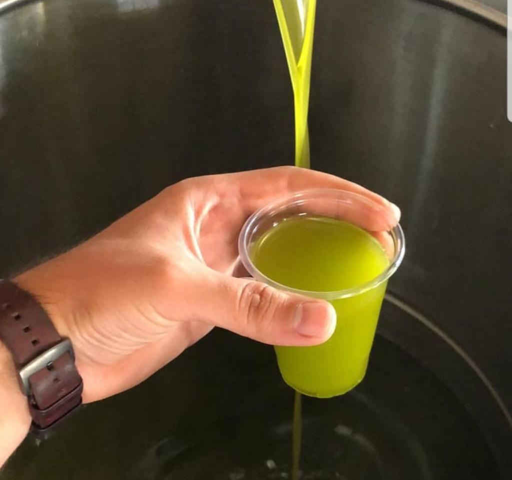 Cold pressed Edible oils and Essential oils from The Earth Sutra