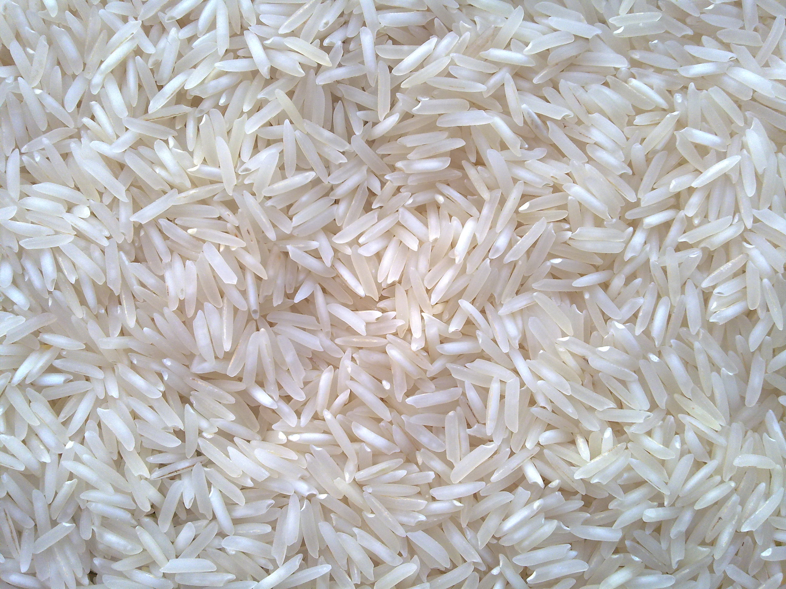 PUSA Basmati Raw Rice from Maxil Agro Industries
