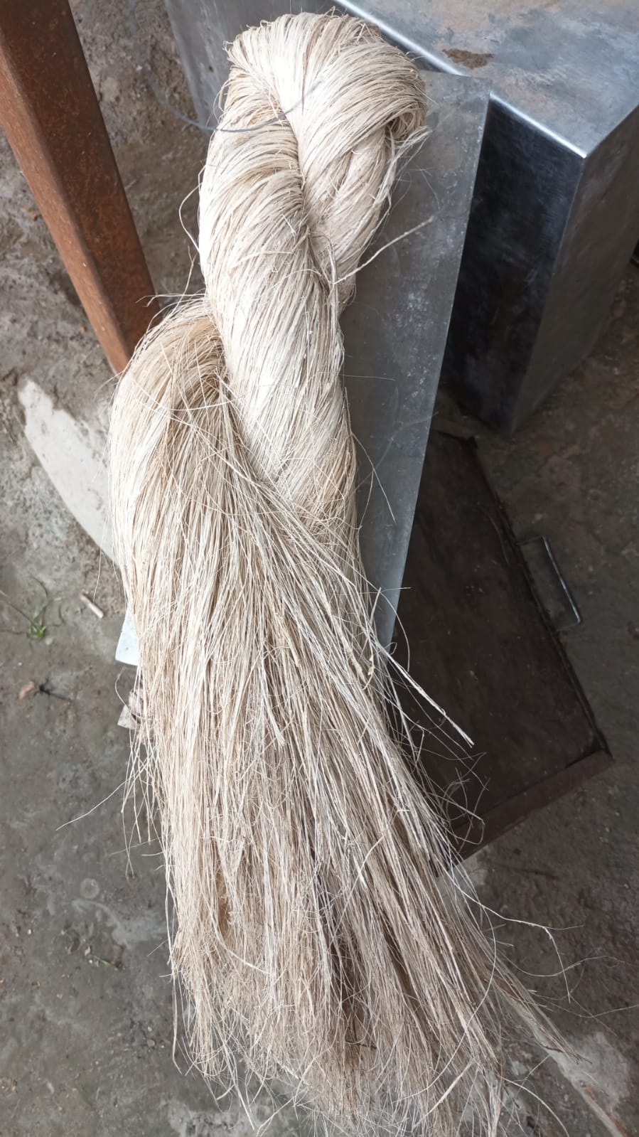 Banana Fibre (Premium Light Comb) from TARUWAR AGRO INDUSTRIES PRIVATE LIMITED 