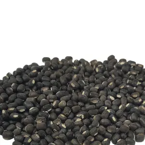 Black Lentils from Saju Agro Dealers