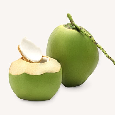 Big Size Young Coconut  from Villukattu Coconuts