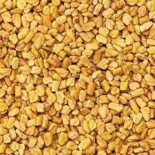 Methi seeds from Aditya Ayurvedic Supply Co