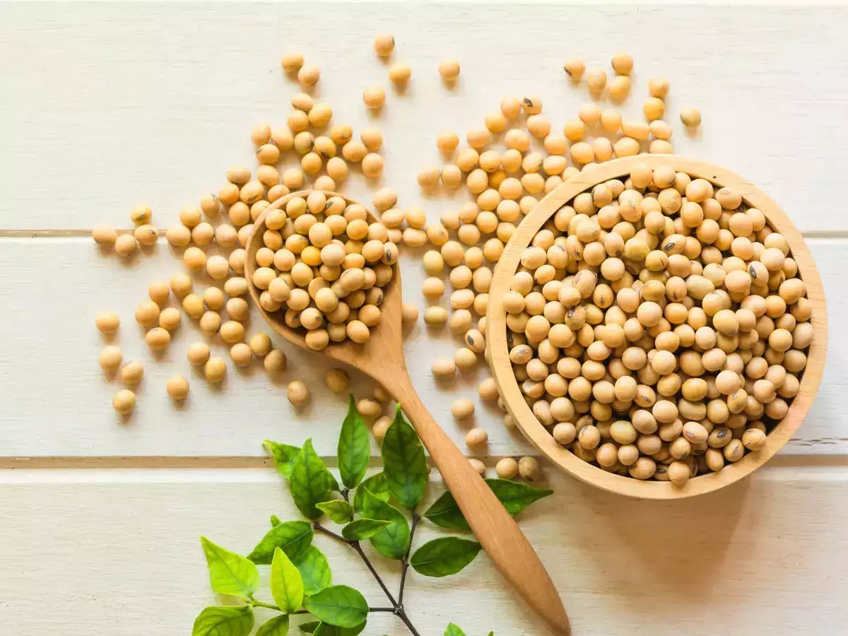 Best Quality Soy Beans from Millennium Grains Imports & Exports