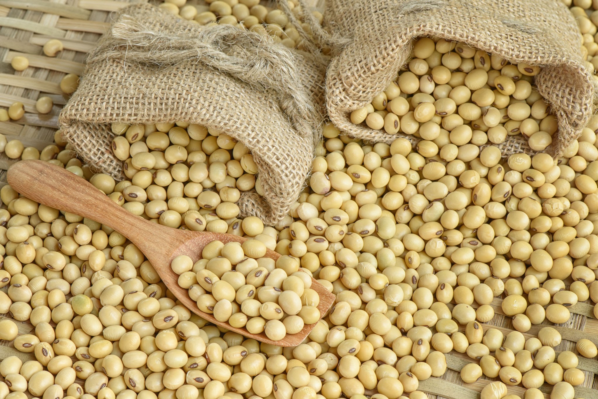  Export Quality Soy Bean From D.I Pvt. Ltd. from Delwai International Pvt Ltd