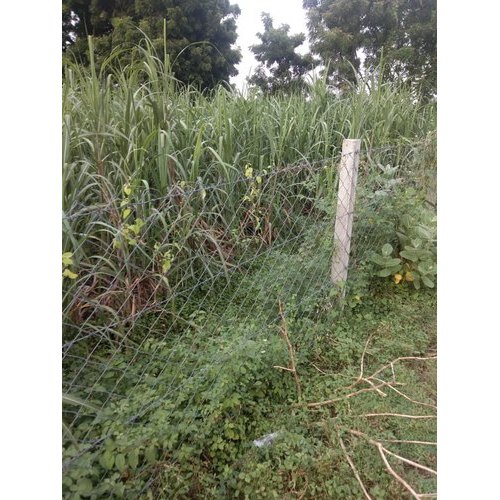 Rectangular Fencing Net for Agriculture from Sardar Irrigation 
