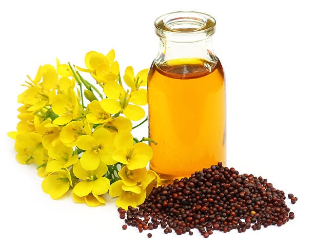100% Pure Natural Mustard Oil from Millennium Grains Imports & Exports
