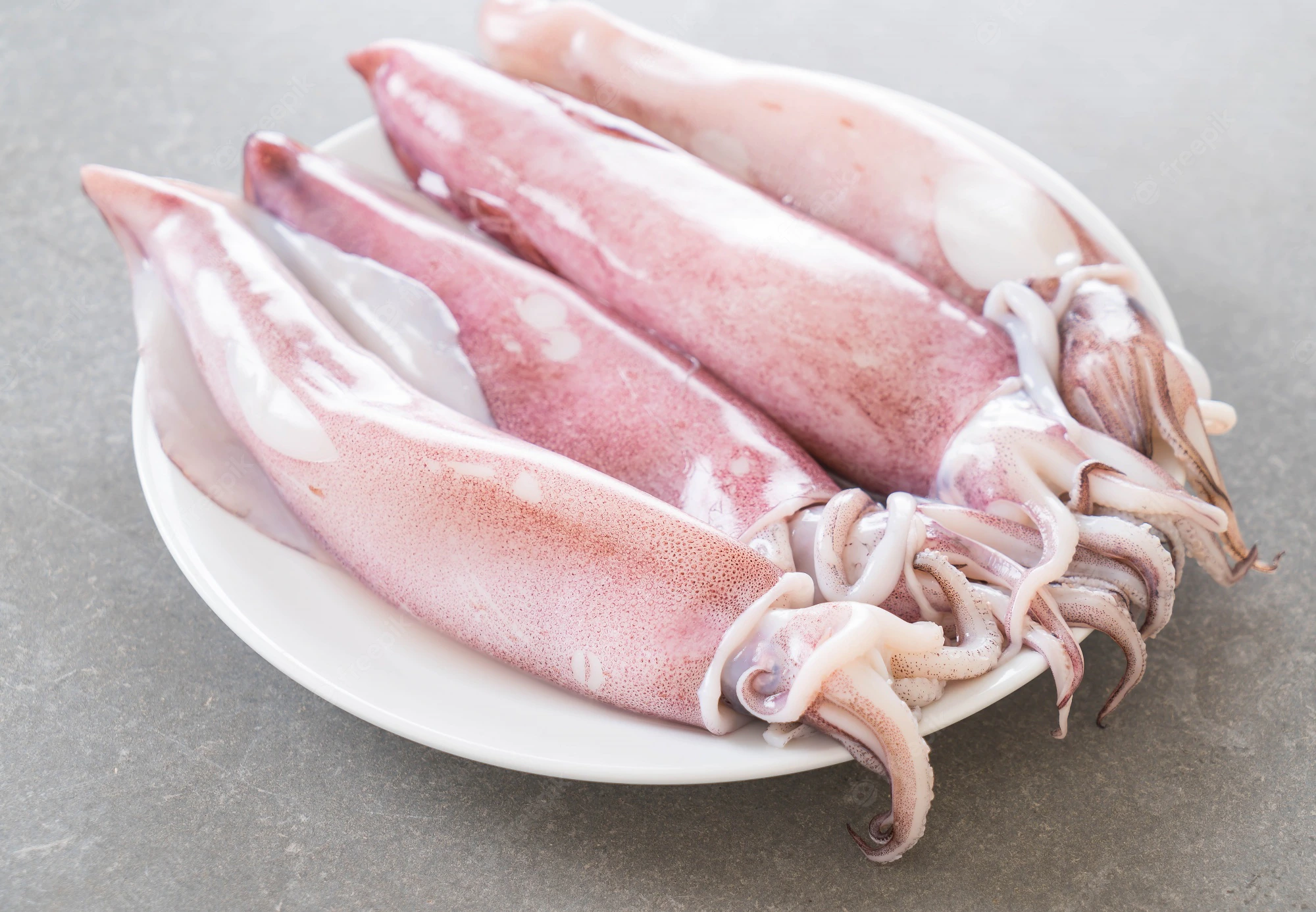 Frozen Squid Fish  from Millennium Grains Imports & Exports