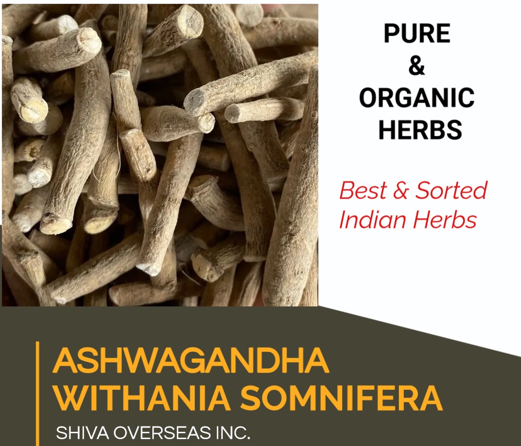 Ashwagandha / Withania Somnifera Roots