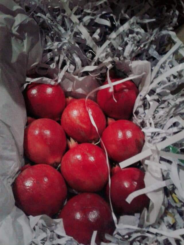Fresh Pomegranate from Green Core Impex Llp