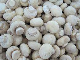 Frozen Mushrooms from Amba Overseas