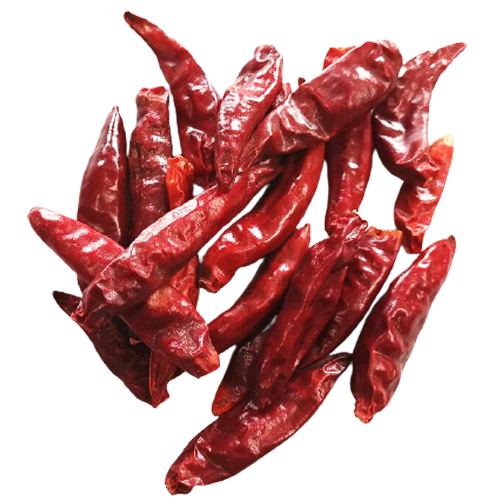 Premium Quality Natural Fresh Chilli For Wholesale from DINESH TRADER