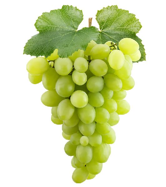 Best Quality Fresh Green Grapes From Juned and Sons from JUNED AND SONS