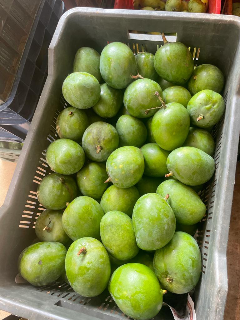 Fresh Yellow Ripe Mangoes from B13 Exports