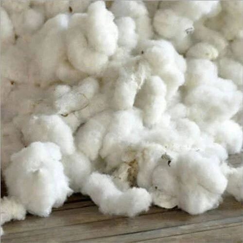 Cotton Raw Material from AKIIKA INVESTMENT LTD 
