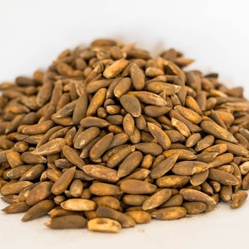 Afghani Chalgoza Pine 1 Kg from Afghan ESN Dry Fruits And Nuts 