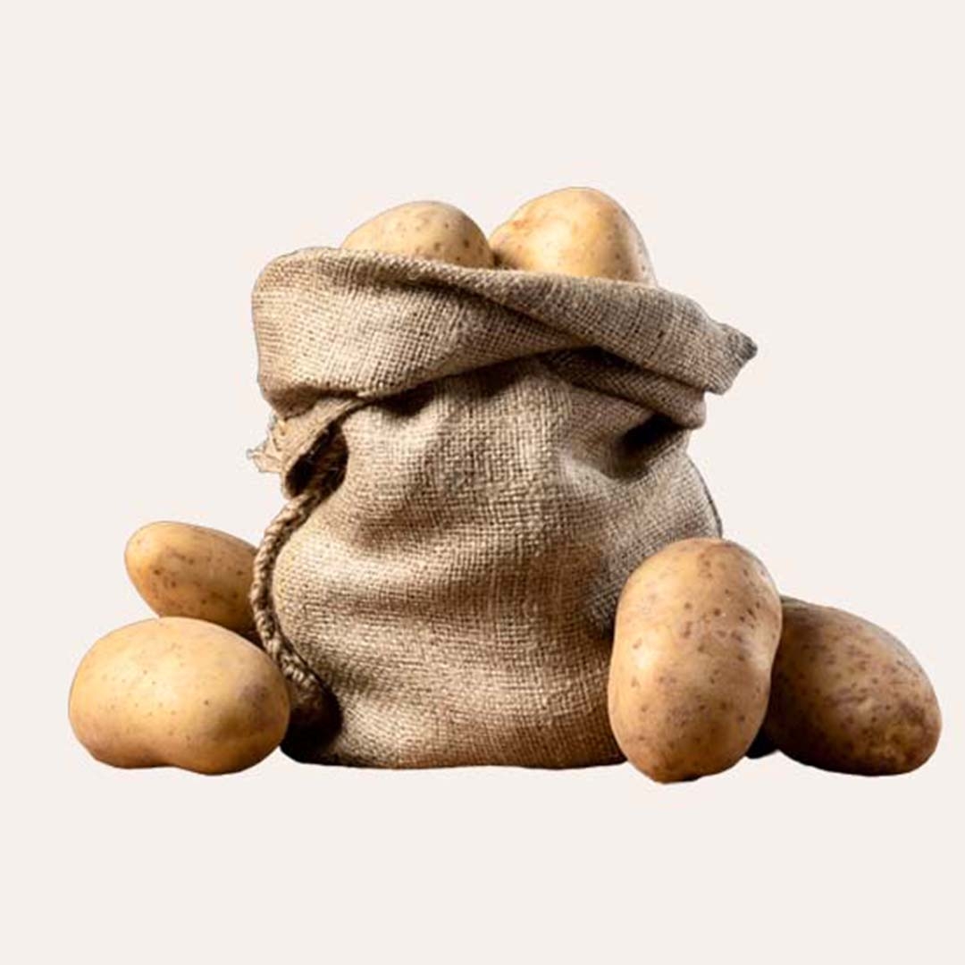 POTATO from Udaan Impex