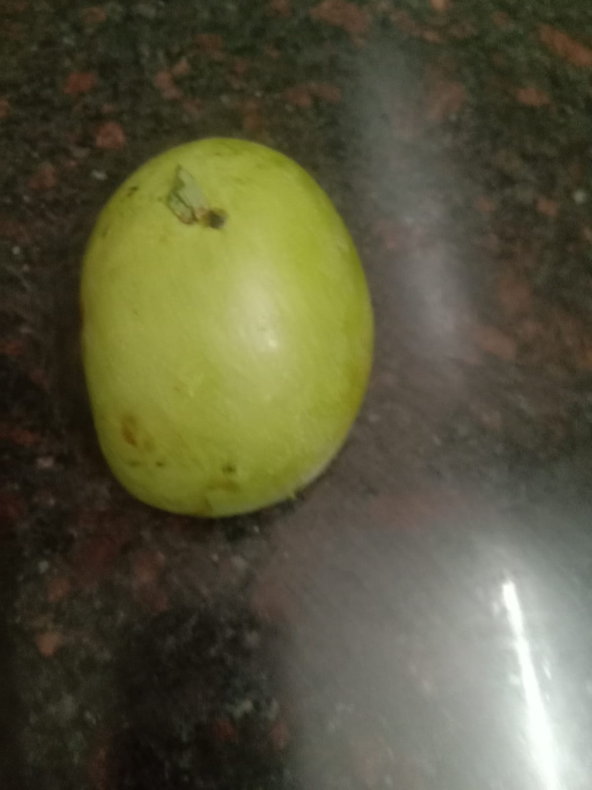 Fresh Organic Raw Mango from Lavish international 
