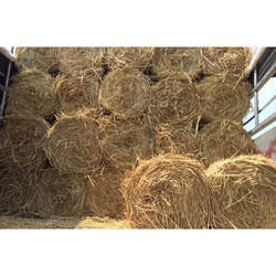 Paddy Straw from CK AND CO