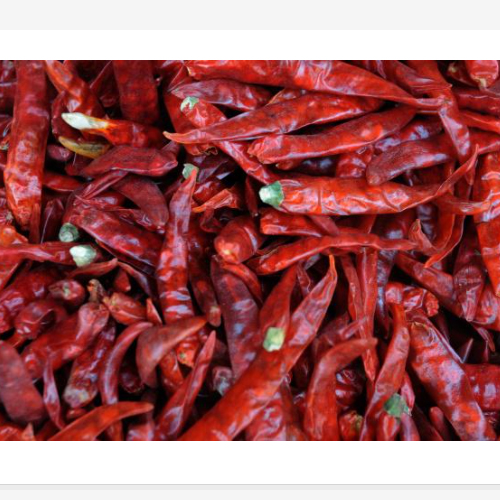 Best Quality Red Chilli from Rameshwaram Agro Exporters