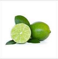 Best Quality Fresh Green Lemon From Juned and Sons