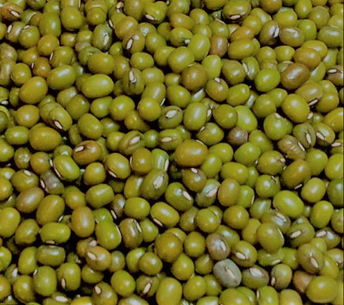 Moong Polish Dal (Grade2) from TIRUPATI INDUSTRIES 