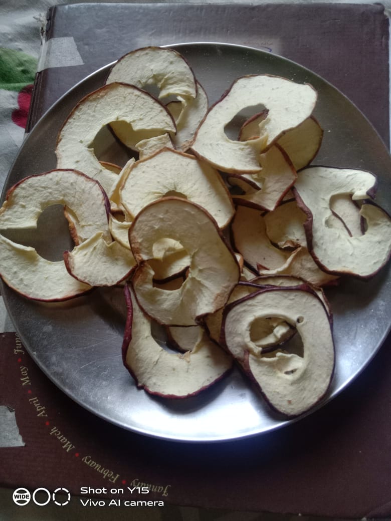 Best Quality Dried Apple Slices  from Him Naturals