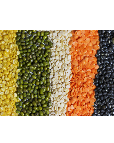 Pulses And Grains, (Daal )Pan India 