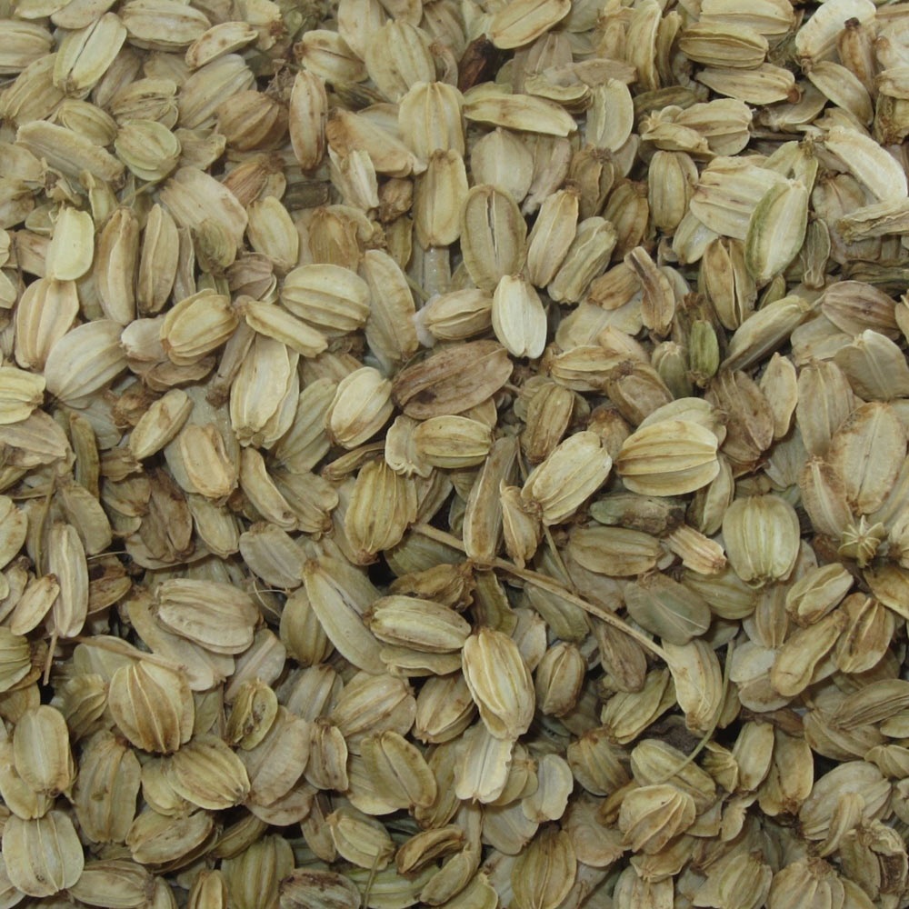 Angelica seeds for sale from JKMPIC-Seed Store