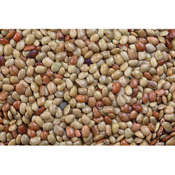 Horse Gram from CK AND CO