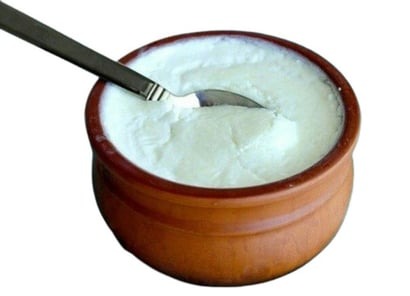 100% Pure Fresh White matka curd with 98 calories,11gram protein age group  from Ranga Foods (Fresh Butter & Ghee Shop)