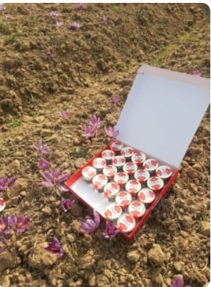 Kashmiri Saffron  from Riddhi Dry Fruits