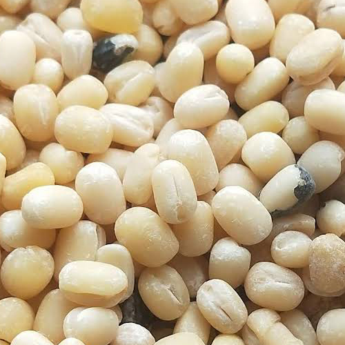 Urad Dal From Alfa Impex from Alfa Impex